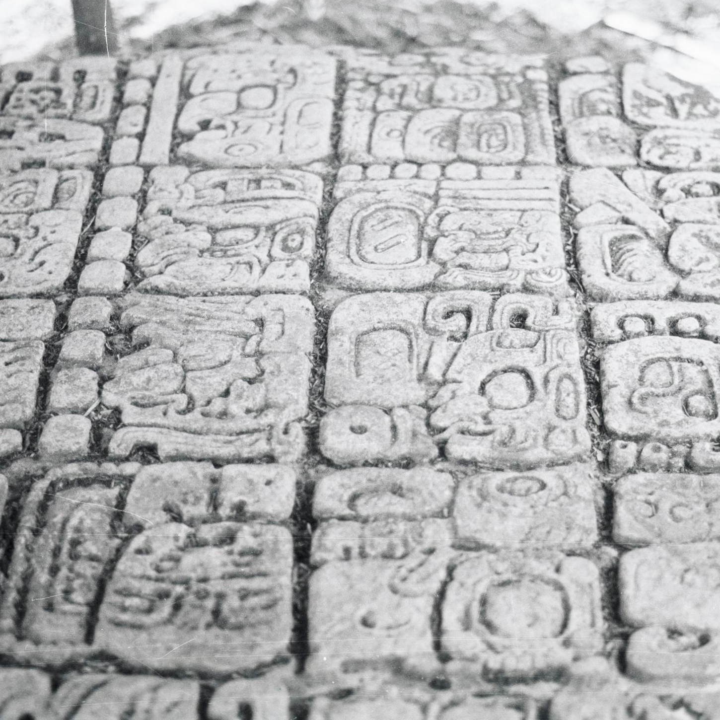 black-and-white picture of a Mayan stone stela, photographed by Karl Herbert Mayer in 1978