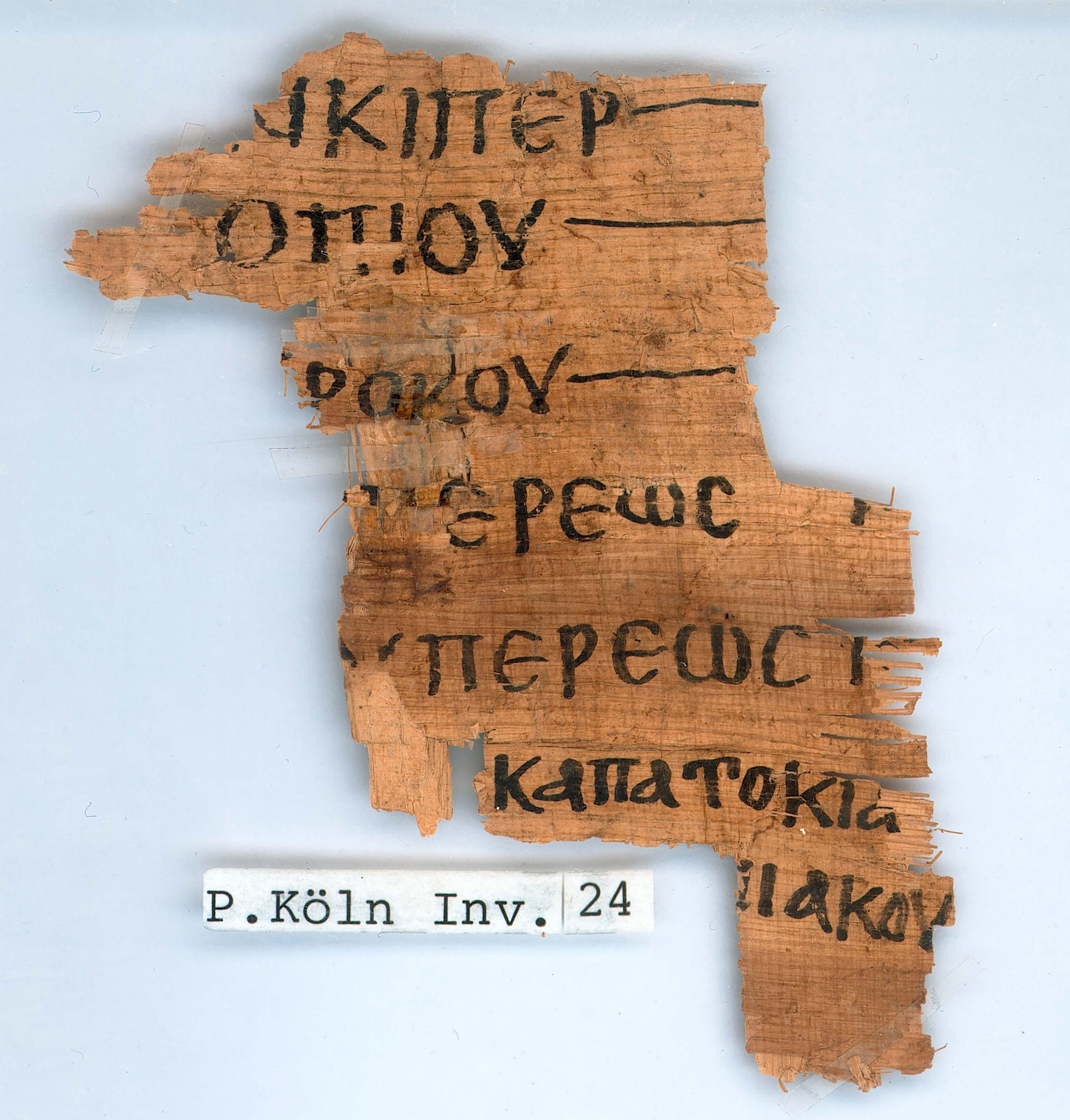 photo of a fragmentary papyrus with writing on it, photographed against a neutral background